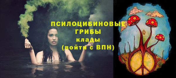 гидропоника Арсеньев