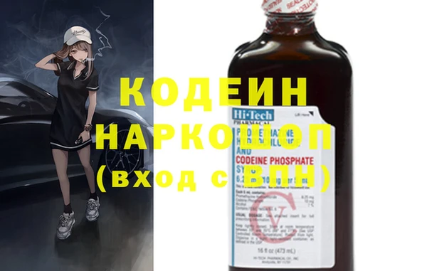 амф Новозыбков