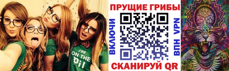 купить наркоту  Верхняя Пышма  Галлюциногенные грибы MAGIC MUSHROOMS 